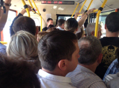 Дорога на работу превратилась для волгоградцев в ад из-за отмены маршруток