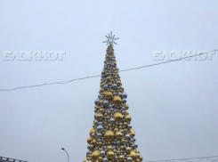 С приближением Нового года в Волгограде становится все теплее
