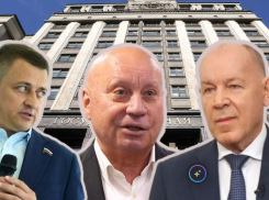 Двое бывалых и темная лошадка из обоймы губернатора: кто из волгоградцев уже почти в Госдуме