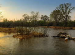 Под Волгоградом следователи устанавливают причину смерти найденного у водоема ребенка
