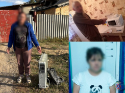 Вынесли даже батареи: компания рецидивистов «обчистила» дом волгоградца 