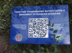 Волгоградцы рассказали, за что им стыдно перед туристами