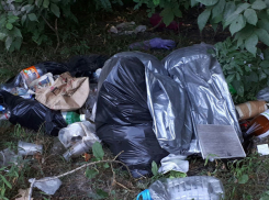 Отдыхающие за одни выходные превратили в помойку волгоградские пляжи