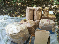 Двоих наркофермеров из Михайловки задержали сотрудники УФСБ