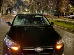 В Волгоградской области под колеса автомобиля попали четыре человека 