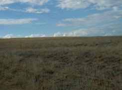 Пастух нашел мумифицированное тело мужчины в степи под Волгоградом 