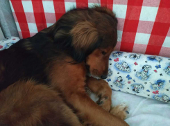 Дождем и ветром встретят волгоградцы День ВДВ