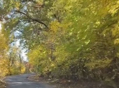 Волгоградская миллиардерша поймала осенний вайб на «пьяной» дороге