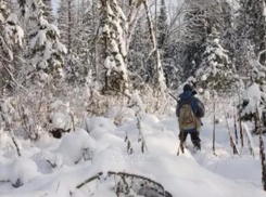 Охотник заблудился в снежную бурю в лесу под Волгоградом