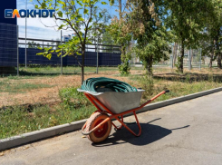 Жара до +35 вернется в Волгоград к середине дня