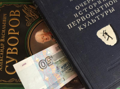 По 8 копеек на жителя: волгоградские чиновники выделили библиотекам деньги на закупку книг
