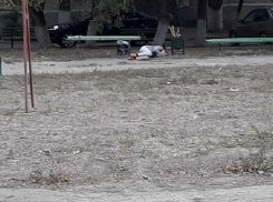 «Спящая красавица» обнаружена между двумя урнами на юге Волгограда