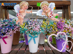 Волгоградцы объявили бойкот празднику всех влюбленных