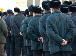 В Волгоградской области с начала года по амнистии освободились 443 заключенных