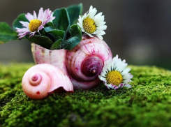 В Волгоград пришла почти летняя пятница