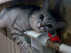 Дата отопительного сезона в Волгограде не определена 