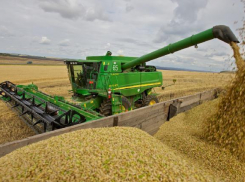 В Волгоградской области собрано более 2 млн. тонн зерна