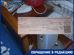 Многодетную мать обязали заплатить свыше 3 тысяч за ледяные батареи в Волгограде