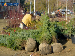 Сломали подвесные качели, вывезли три ели: продолжают крушить новые парки волгоградцы