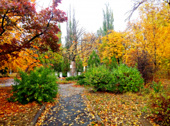 Потепление до +18ºС обещают волгоградцам синоптики в воскресенье 