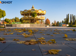 Прощальным теплом до +20 насладятся волгоградцы