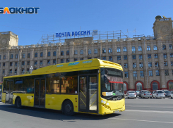 В Волгограде предложили устроить голосование о судьбе транспорта 