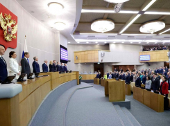 Всплеск хайпожорства в Госдуме предсказал известный политолог