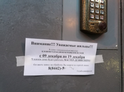 Волгоградцев пугают страшилками про расплодившихся клопов, тараканов и крыс: чему верить