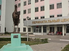 Перинатальный центр Волгограда заказал легковой автомобиль за 1,3 млн рублей 