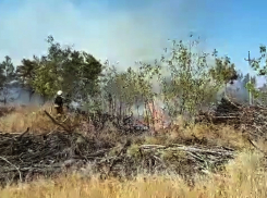 В Волгограде лесной пожар  угрожает табачной фабрике