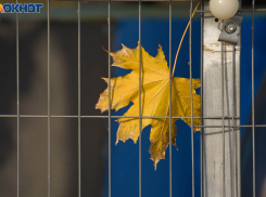 На неделю  растянутся октябрьские дожди в Волгограде