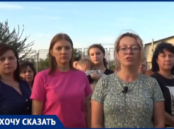 Фанаты троллейбусов в Волгограде добрались до Минтранса и Романа Старовойта