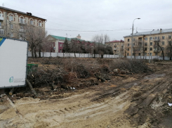 Волгоградца шокировала тотальная вырубка деревьев при реконструкции Сурского сквера