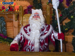 В Волгограде подешевел индекс Деда Мороза