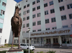 Волгоградский перинатальный центр признан лучшим в стране