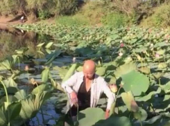 Группа вандалов безжалостно оборвала краснокнижные растения на озере Лотосов под Волгоградом