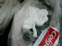 В колонии под Волгоградом заключенным пытались передать наркотики в зубной пасте