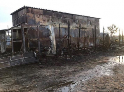Лошади и пони сгорели заживо в волжском конно-спортивном клубе