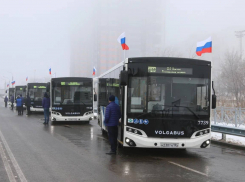 Новый маршрут №41А запустили до центра Волгограда