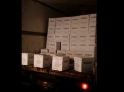 В Волгоградской области попало на видео задержание бутлегеров