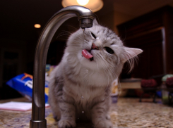 В Волгограде жителям массово отключат воду за неуплату