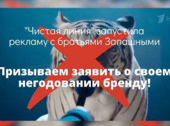 Волгоградских волонтеров возмутила реклама с дрессировщиками братьями Запашными