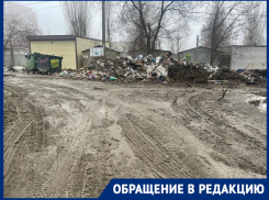 В мусорный полигон превратился частный сектор в Волгограде