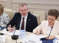 Волгоградский сенатор рассказал, как будет повышать рождаемость