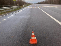 Грузовик насмерть переехал волгоградку: ее не смогли опознать