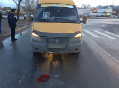 Под колеса маршрутки в Волгограде попали бабушка с 5-летним внуком