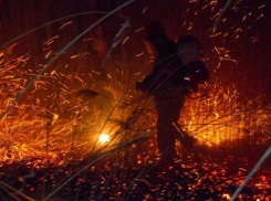 В Волгоградской области пожар под Михайловкой тушат 400 человек