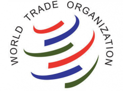 В Волгограде обсудили адаптацию к условиям ВТО