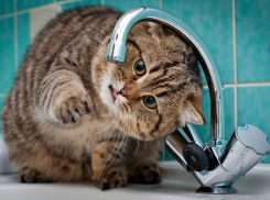 На севере Волгограда 70 тысяч горожан сутки ждут воду