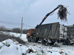 Свалку объемом 500 кубометров ликвидирует ЭкоЦентр